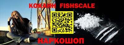скорость Новозыбков