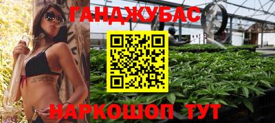 скорость Новозыбков