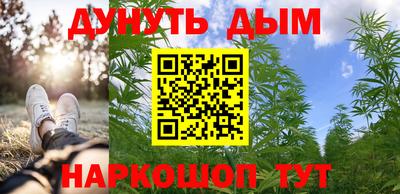 mdpv Новодвинск