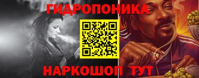 скорость Новозыбков