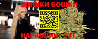скорость Новозыбков