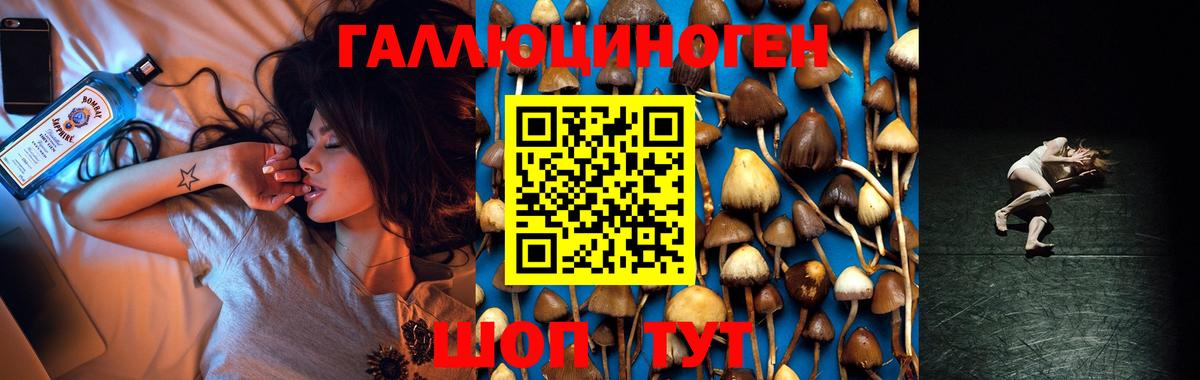 Псилоцибиновые грибы Cubensis Усолье-Сибирское