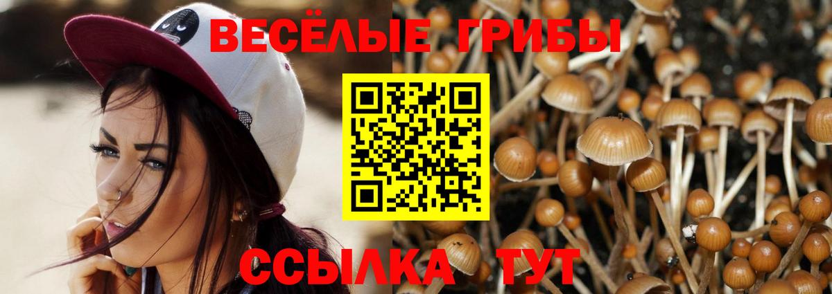 Усолье-Сибирское  цены   Вход с VPN  Псилоцибиновые грибы Cubensis 