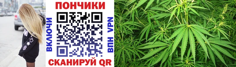 наркота  Усолье-Сибирское  Бошки марихуана OG Kush 